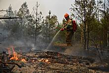 В России призвали тратить больше денег на борьбу с пожарами