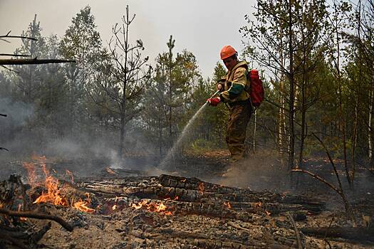 В России призвали тратить больше денег на борьбу с пожарами