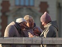 В Госдуме указали на «фактически остановивший» работу пенсионной системы сбой