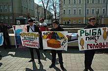Жители Иркутска пожалуются Чайке и Бастрыкину на «оборотней в погонах». Горожане вышли на улицы