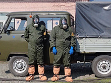 За нетипичным занятием застали собаку жители села Владимировка