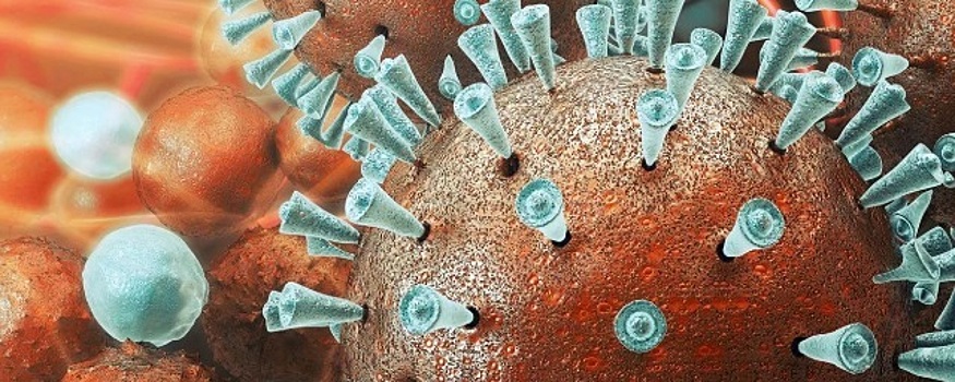 В Свердловской области обозначили сроки начала испытаний вакцины от коронавируса