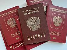 Раскрыто число лишившихся гражданства России иностранцев за последние полгода