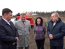 Денис Волков рассказал о планах по восстановлению леса в регионе