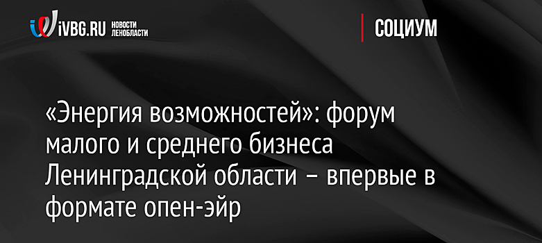 «Энергия возможностей»: форум малого и среднего бизнеса Ленинградской области – впервые в формате опен-эйр