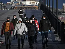 Названо число нелегальных мигрантов в России