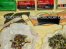 Жена подозреваемого в убийстве в Подольске: он хотел утихомирить толпу под окнами