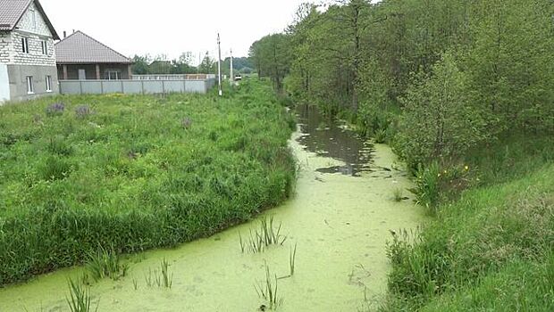 Венеция в Петрово. Жители посёлка жалуются на затопления