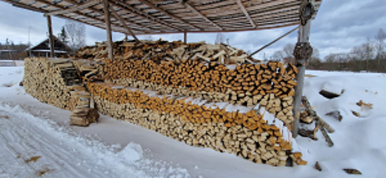 Полицейские в Новгородской области задержали сельского жителя, незаконно заготовившего дрова