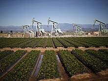 Запасы нефти в США выросли