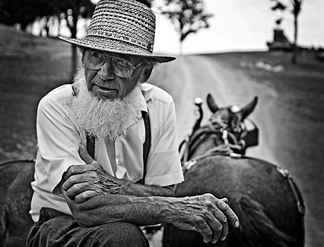 Амиши: шокирующие факты о самом закрытом обществе