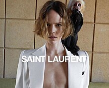 Модель Фрея Беха и обезьянка Алли стали новыми героями рекламной кампании Saint Laurent