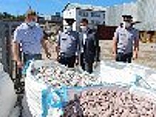 Министр экономического развития Республики Карелия оценил производственный потенциал исправительных учреждений региона