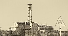 "Ядерная" водка из чернобыльского зерна: можно ли ее пить?