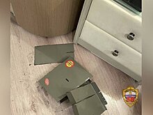 В Москве мошенники убедили школьницу уйти из дома и вскрыли сейф с 13 млн рублей