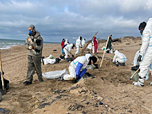 Волонтёры обращаются в больницы после уборки мазута с берегов Чёрного моря. Сколько уже пострадало