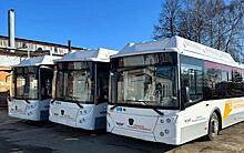 В Рязань поступило 11 новых автобусов