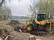 Парк имени Кирова начали благоустраивать в Новосибирске
