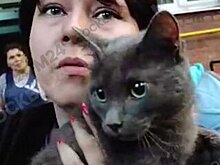 Женщина рассказала о спасении кошки из горевшего на улице Кубинке дома