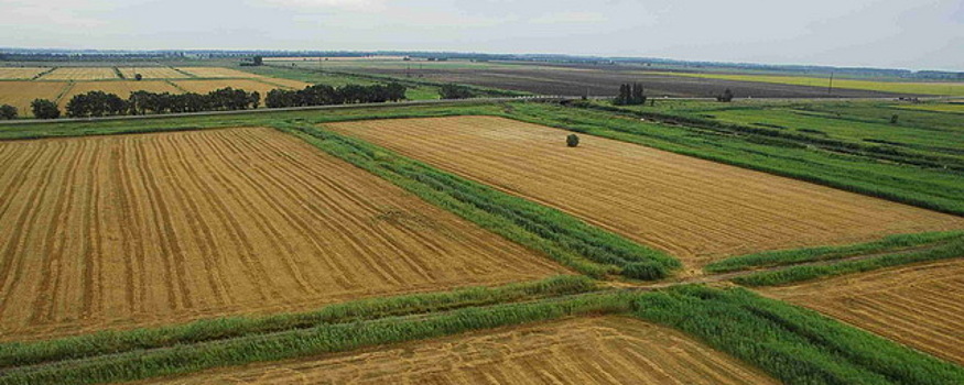 Совфед одобрил закон о мониторинге земель сельхозназначения