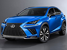 Длительный тест Lexus NX 300. Часть 3: на стыке жанров