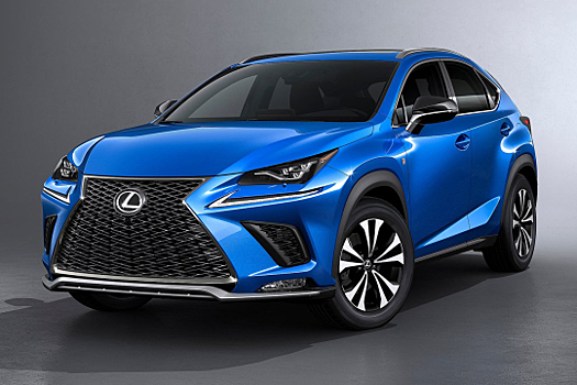 Длительный тест Lexus NX 300. Часть 3: на стыке жанров