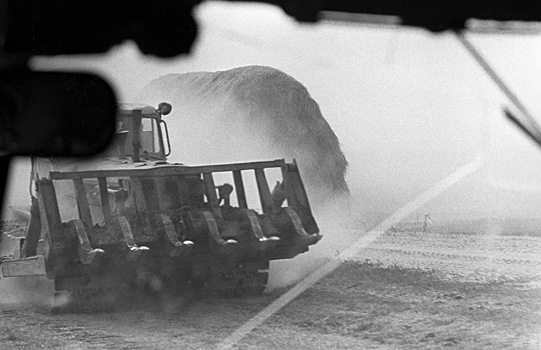 Москвичи сравнили смог 1972 года с нынешним