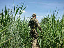 Военный эксперт рассказал, какова численность ВСУ в Красном Лимане