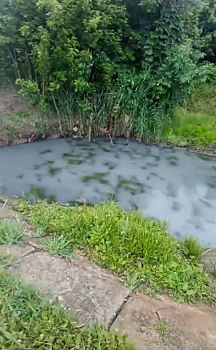 Минприроды Ростовской области отреагировало на информацию о сливе нечистот в ручей Быстрый