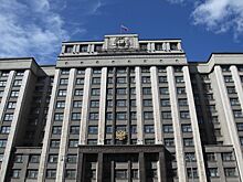 В Госдуме заявили о необходимости доработки закона о турналоге