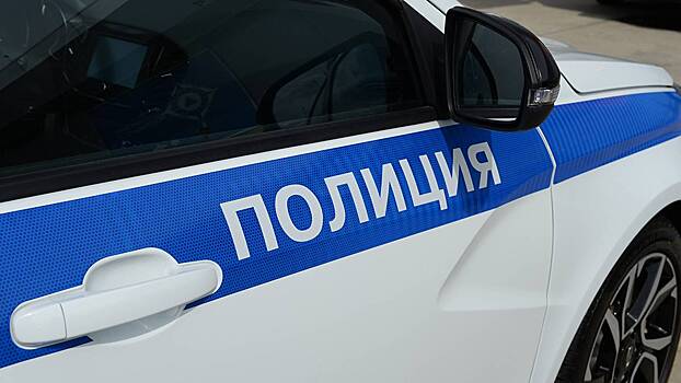 СМИ: Помощник депутата из Чебоксар оттаскал жену за волосы на дороге