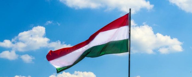 Венгерский парламент перенес голосование за ратификацию вступления в НАТО Швеции и Финляндии