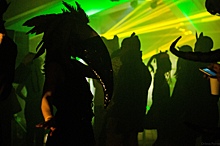 Организатор BDSM-вечеринок устроил звериную пати в особняке на Плотинке