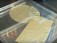 Создана вечная бумага из пыльцы