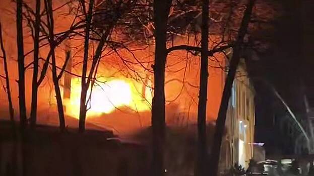 Два человека погибли и еще двое пострадали при пожаре в Видном