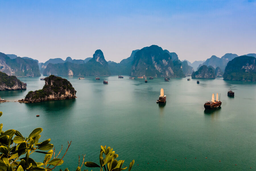 Российских туристов во Вьетнаме искусали ядовитые жуки-томкаты