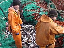 Душа требует моря