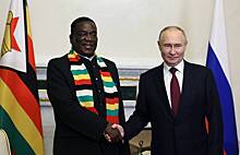 Президент Зимбабве назвал Путина братом