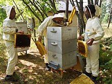 В Барнауле выросло число туристов "выходного дня"