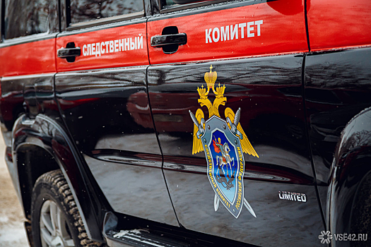 В Новосибирской области завели дело после пропажи 10-летней девочки