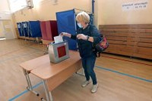 Лига безопасного интернета выявила около 8,5 тысячи фейков о голосовании