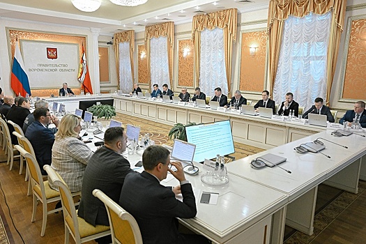 У бизнес-омбудсмена появятся помощники в муниципалитетах Воронежской области