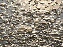 Мэр Абакана уверен, что из-за аварии на коллекторе воду из скважин опасно пить