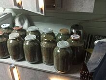 12 банок и ведро с наркотиками изъяли во время обыска у двоих нижегородцев