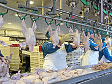 На Урале вырос спрос на курятину