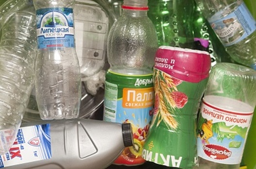 В 20 воронежских школах установят урны и контейнеры для сбора пластика