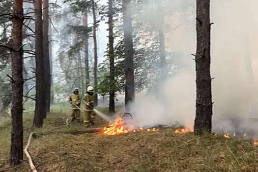 МЧС: за несколько суток лесной пожар в ЛНР повредил 165 домов