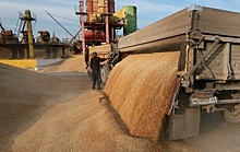 Украина похвасталась рекордом по сбору зерновых