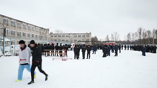 В ярославской колонии из-за чумы уничтожат всех свиней