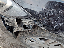 В Екатеринбурге хвостатые «вандалы» раскурочили автомобиль на охраняемой парковке